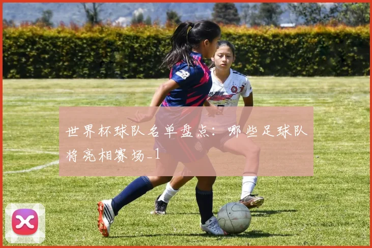 世界杯球队名单盘点:哪些足球队将亮相赛场_1