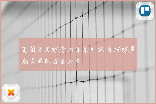 葡萄牙足球青训体系升级 年轻球员成国家队后备力量