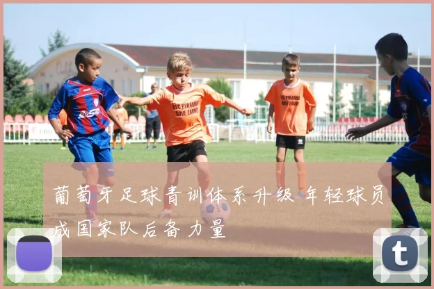 葡萄牙足球青训体系升级 年轻球员成国家队后备力量