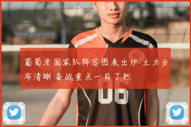葡萄牙国家队阵容图表出炉 主力分布清晰 备战重点一目了然